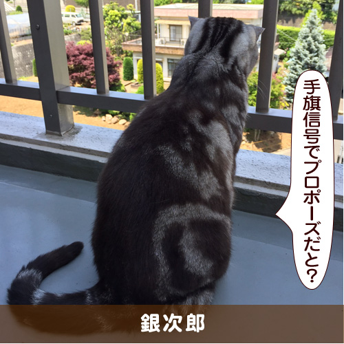 20190407_touko.jpg