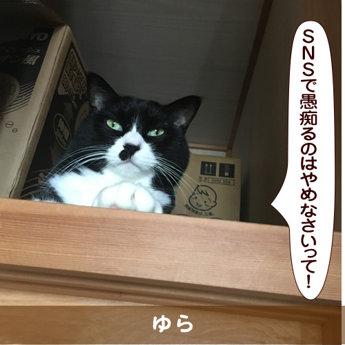 20190408_touko.jpg