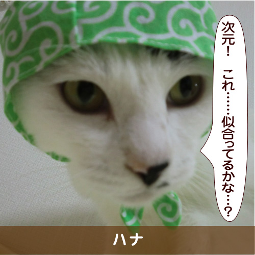 20190409_touko.jpg