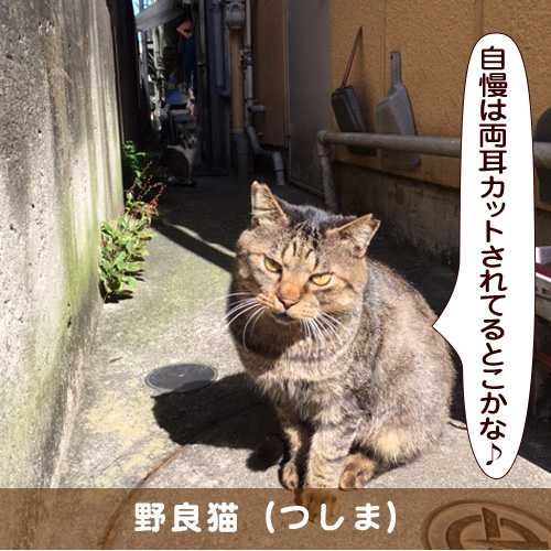 20190410_touko.jpg