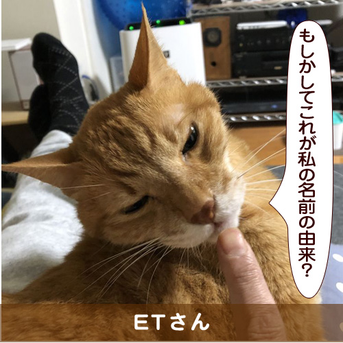 20190411_touko.jpg
