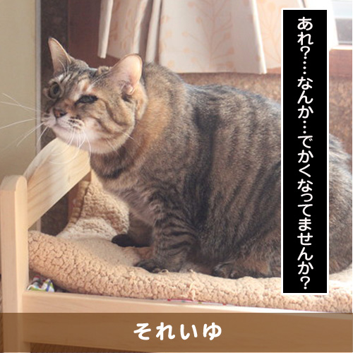 20190413_touko.jpg