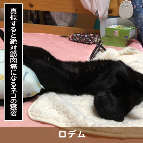 20190415_touko.jpg