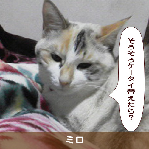 20190417_touko.jpg