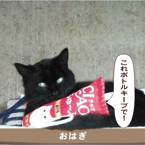 20190419_touko.jpg