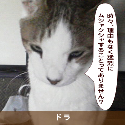 20190420_touko.jpg