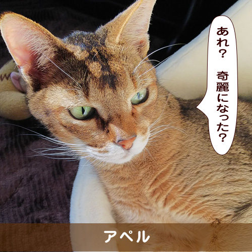 20190421_touko.jpg