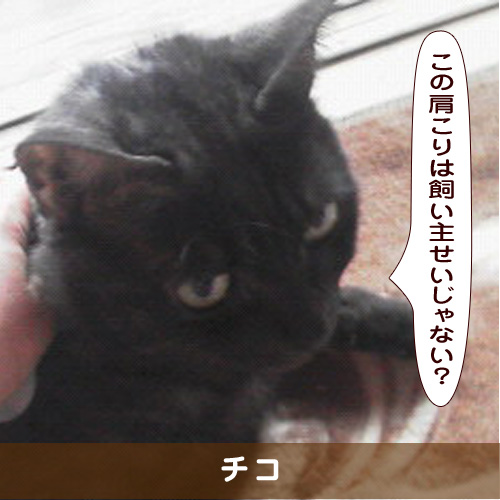 20190422_touko.jpg