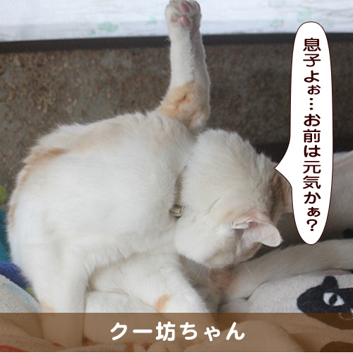 20190424_touko.jpg