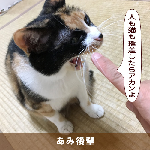 20190426_touko.jpg