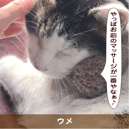 20190427_touko.jpg