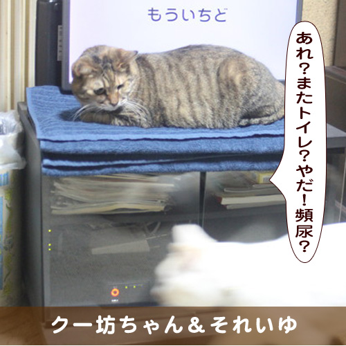 20190428_touko.jpg