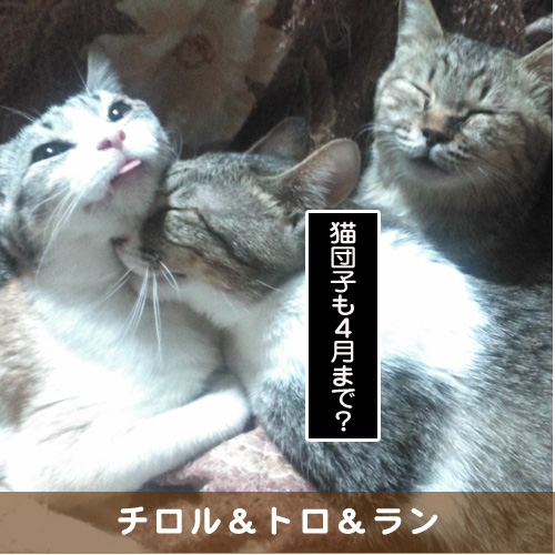 20190429_touko.jpg