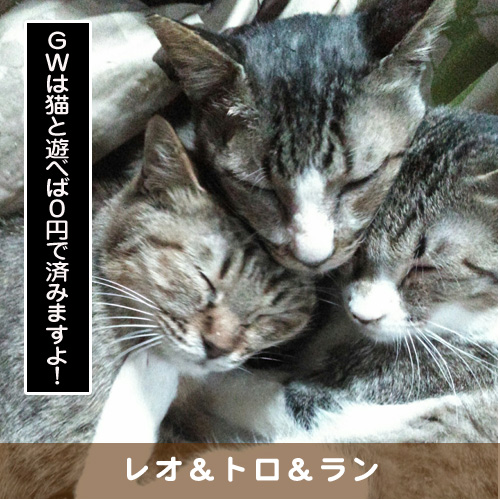 20190430_touko.jpg