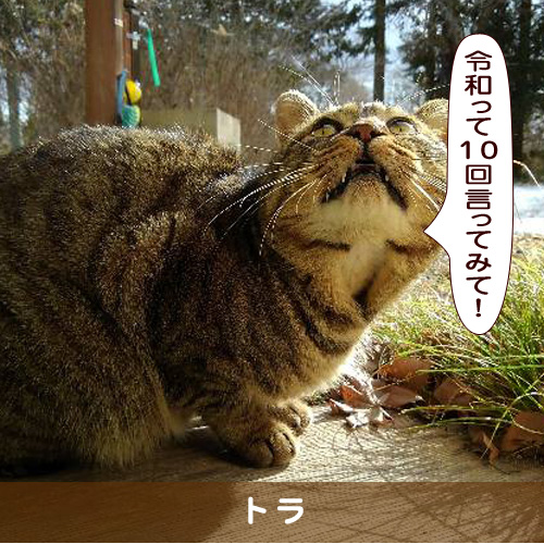20190502_touko.jpg