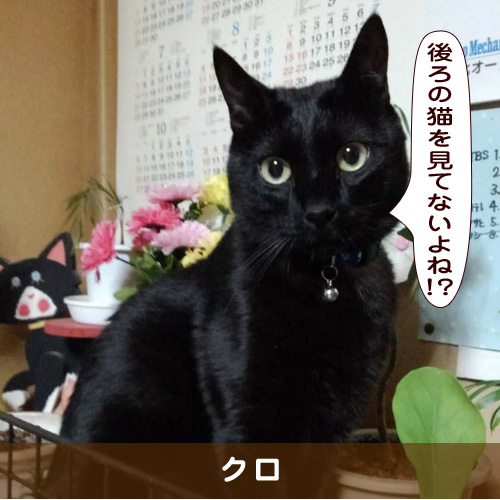 20190503_touko.jpg