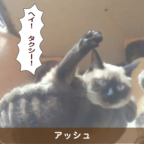 20190504_touko.jpg