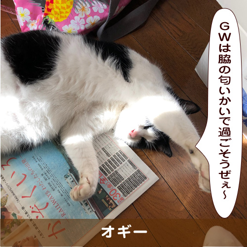 20190505_touko.jpg