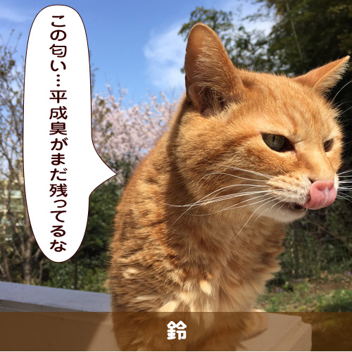 20190506_touko.jpg