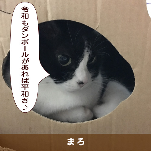 20190507_touko.jpg