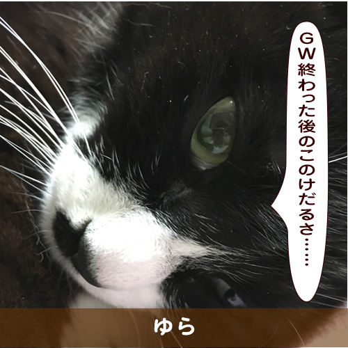 20190508_touko.jpg