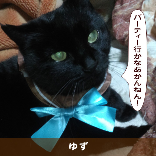 20190509_touko.jpg