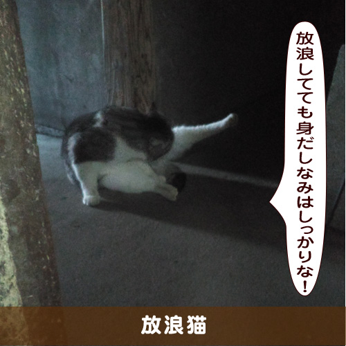 20190510_touko.jpg