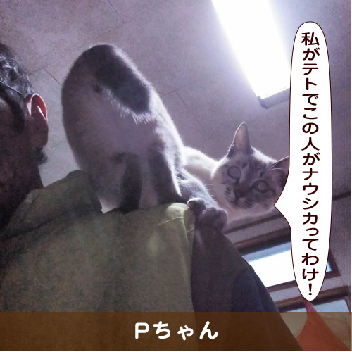 20190511_touko.jpg
