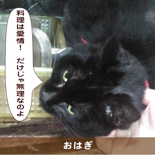 20190512_touko.jpg