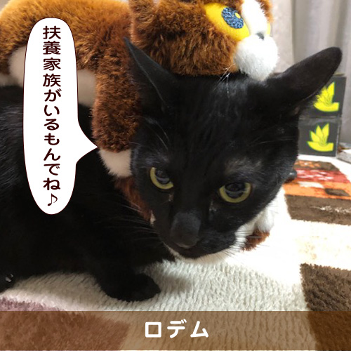 20190513_touko.jpg