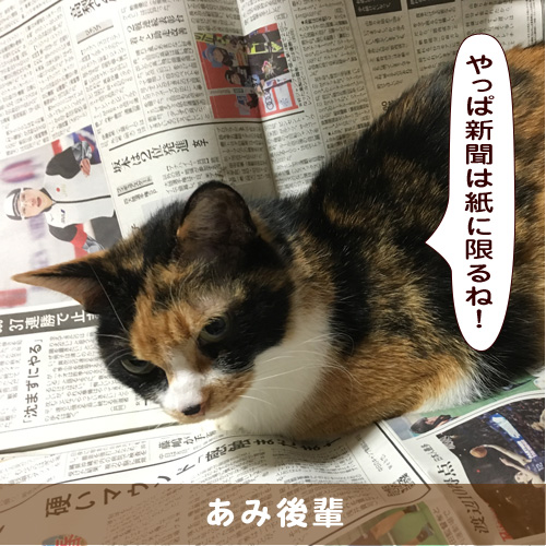 20190514_touko.jpg