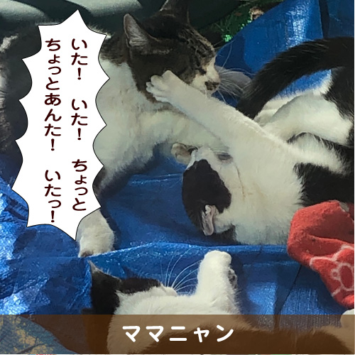 20190515_touko.jpg