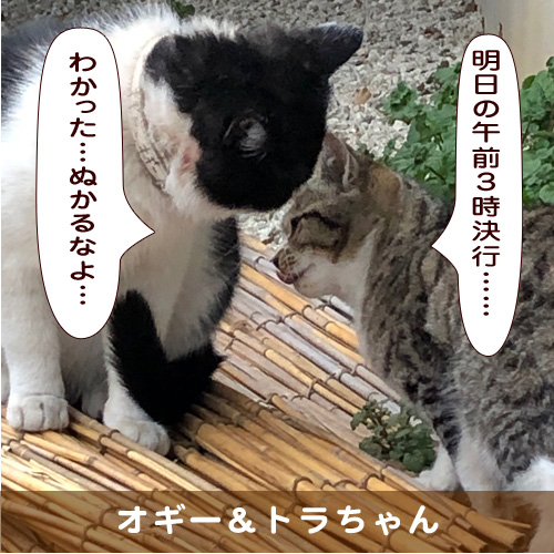 20190517_touko.jpg