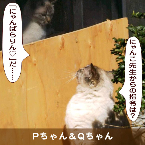 20190518_touko.jpg