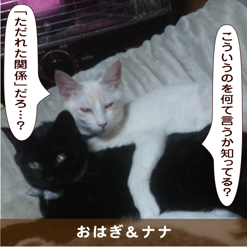 20190519_touko.jpg