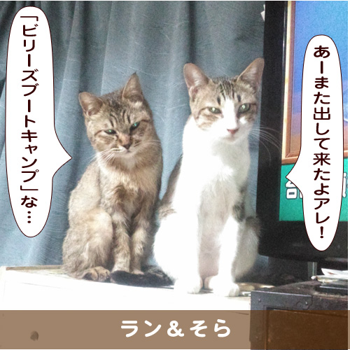 20190520_touko.jpg
