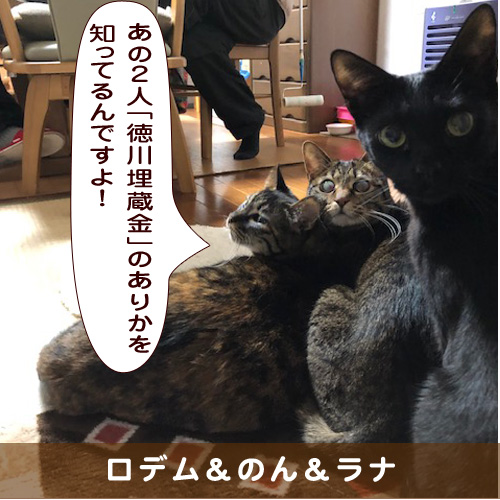 20190521_touko.jpg