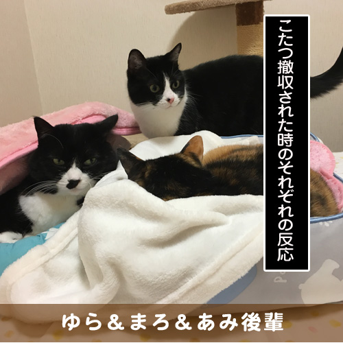 20190522_touko.jpg