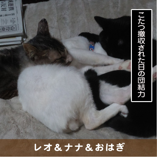 20190523_touko.jpg