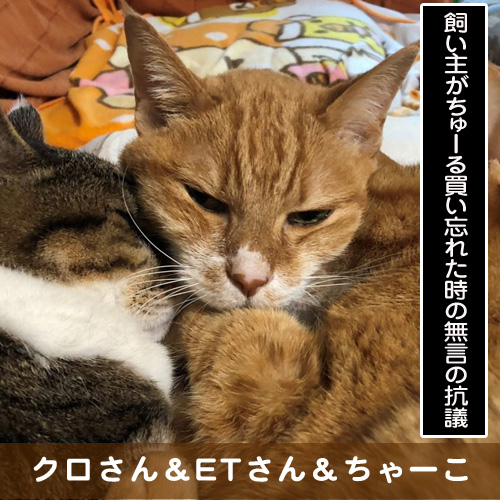 20190524_touko.jpg