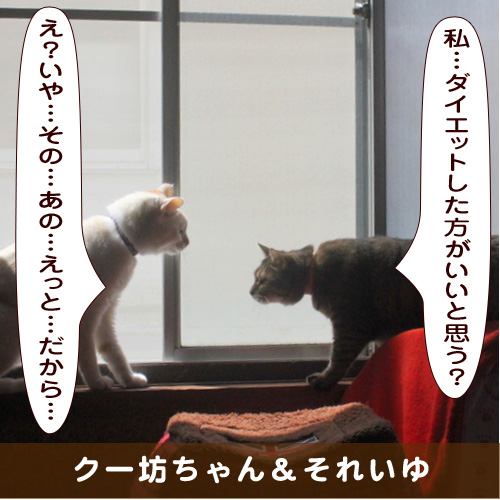 20190525_touko.jpg