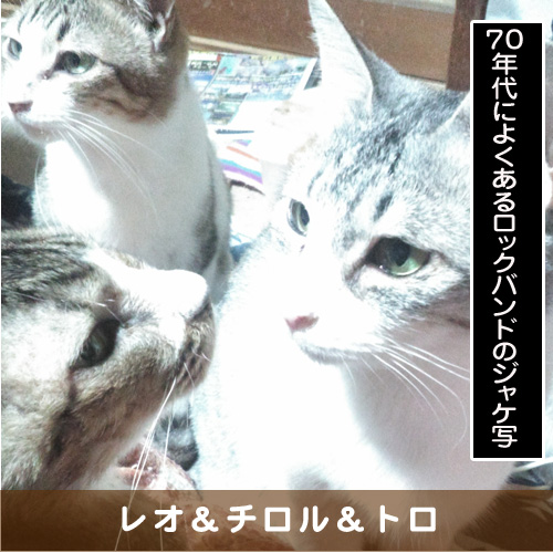 20190526_touko.jpg