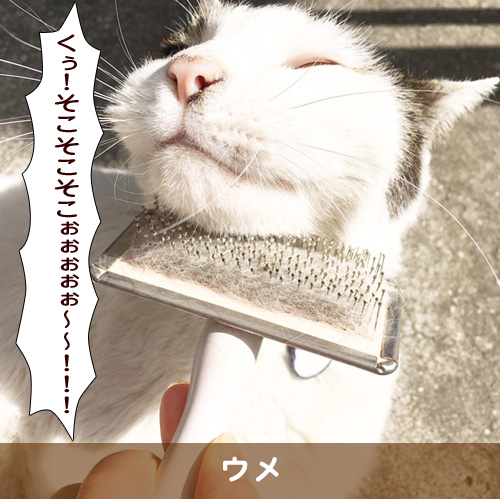 20190527_touko.jpg