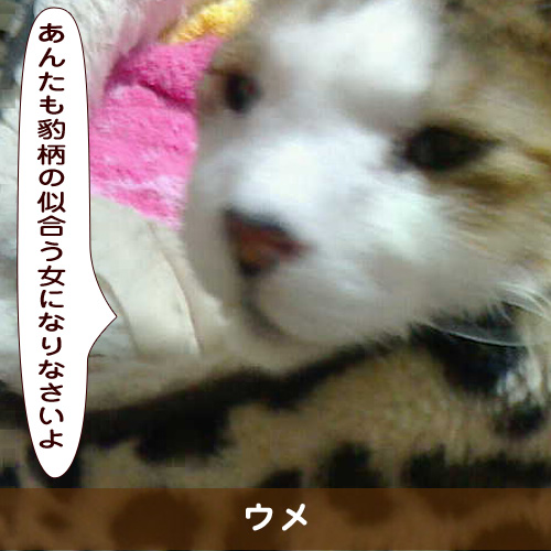 20190528_touko.jpg