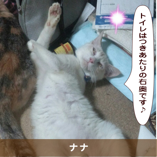 20190529_touko.jpg