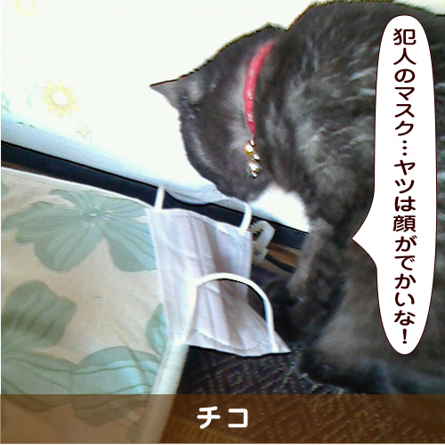 20190530_touko.jpg