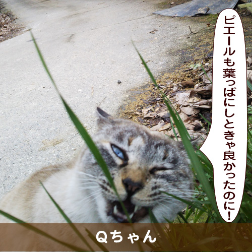 20190531_touko.jpg
