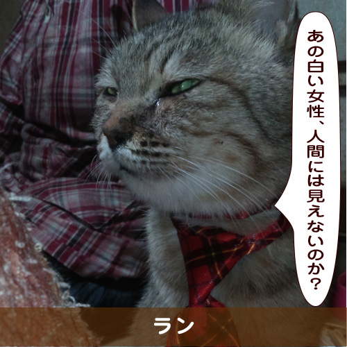 20190602_touko.jpg