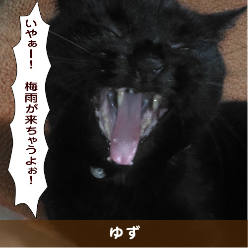 20190603_touko.jpg
