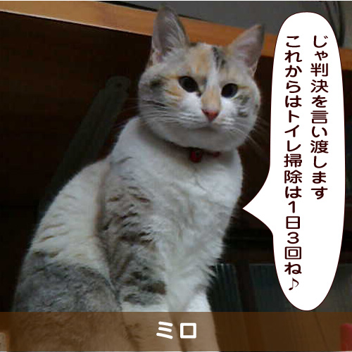 20190604_touko.jpg